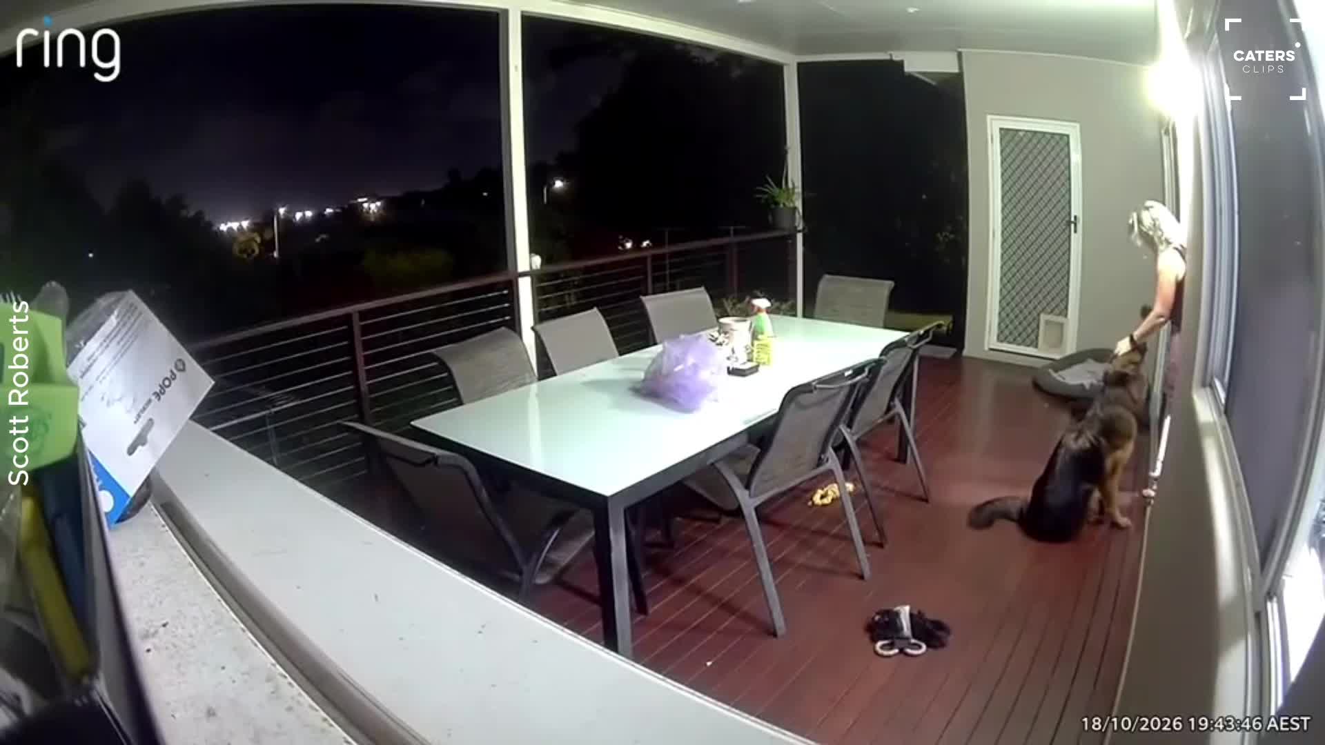 Woman’s desperate escape from cockroach ends in a painful mishap