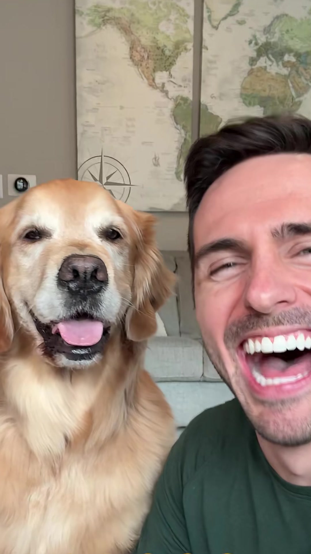 Dogs can’t smile? A golden retriever says explain this