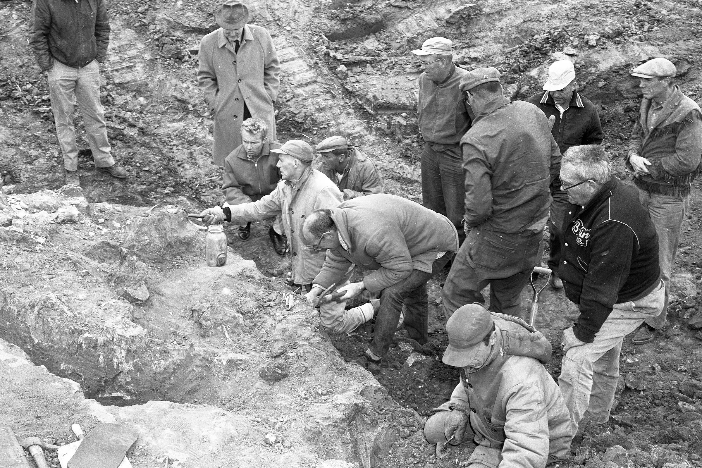 Throwback Thursday: Woolly mammoth bones discovered southwest of ...