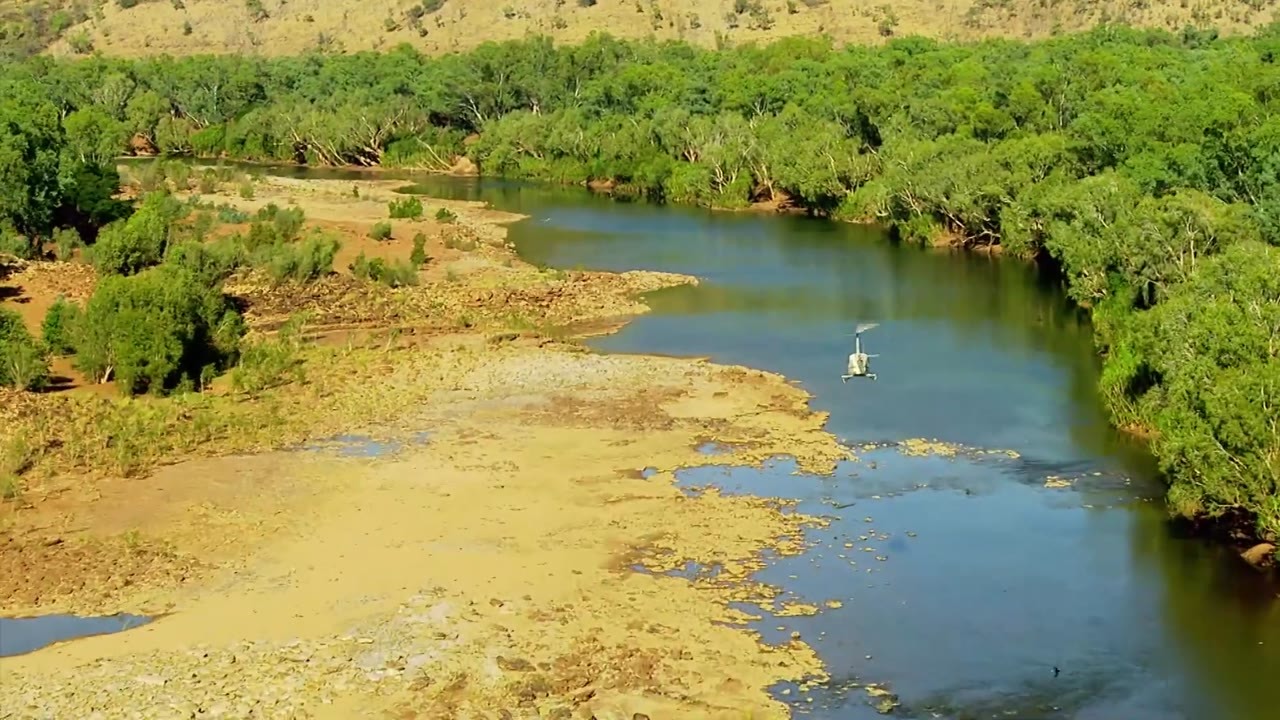 Crocodile hunters use heavy ropes to capture a large saltwater crocodile