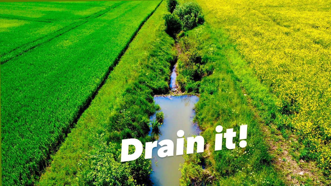 Whole beaver dam removal