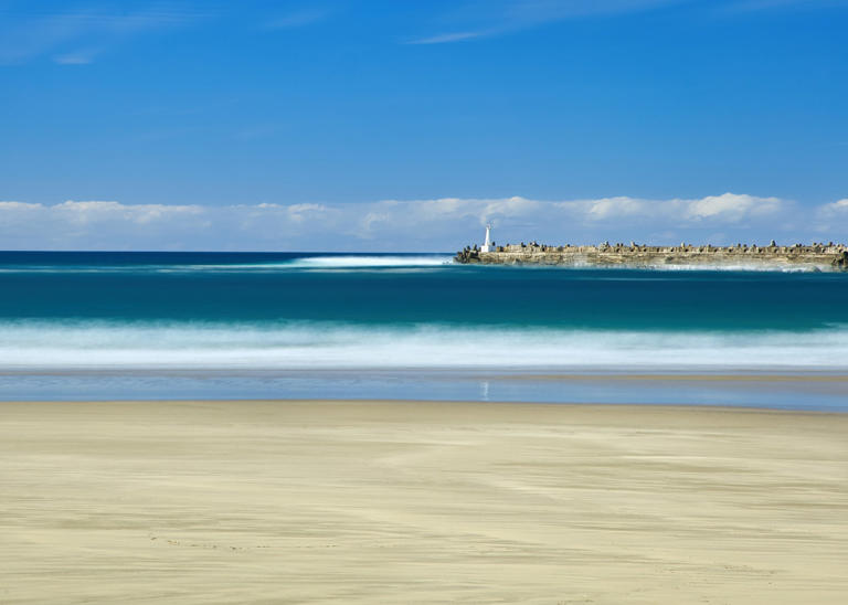 Woman killed in shark attack during morning swim