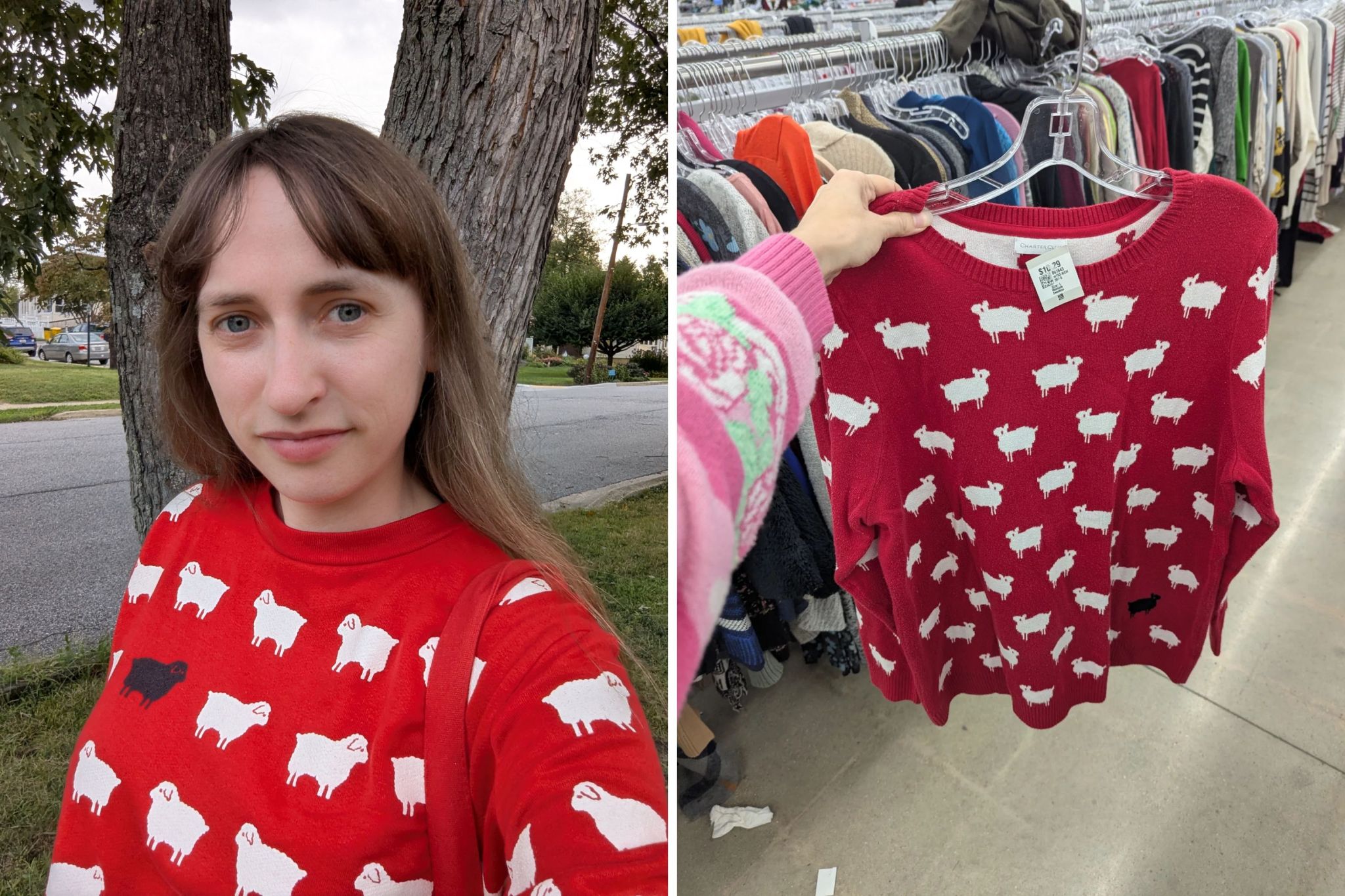Woman thrifts $5 sweater with royal connection—months later has realization