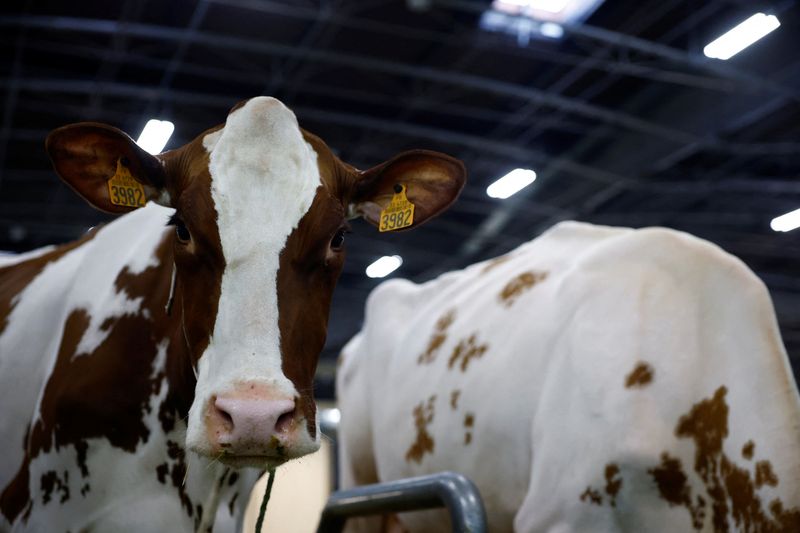 France reports first human case of livestock virus Shamonda after ...