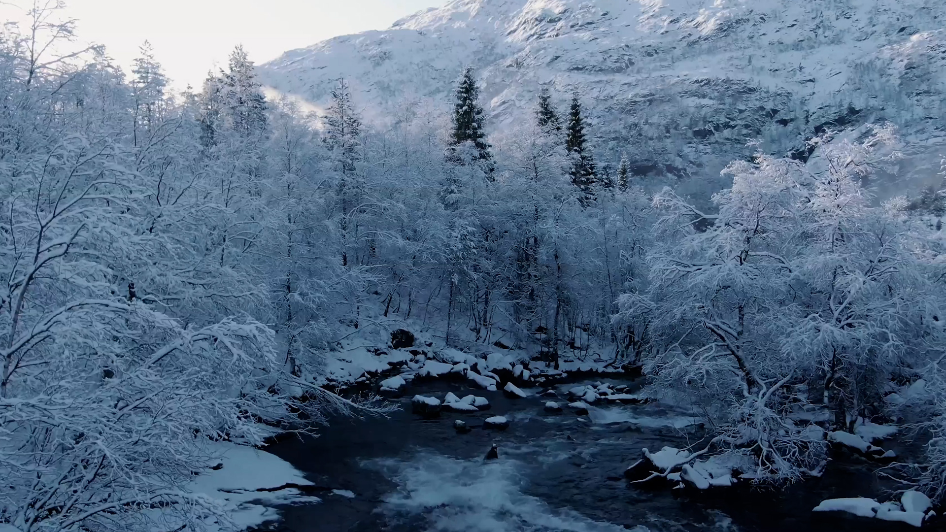 Exploring winter landscapes from above: A drone's eye view