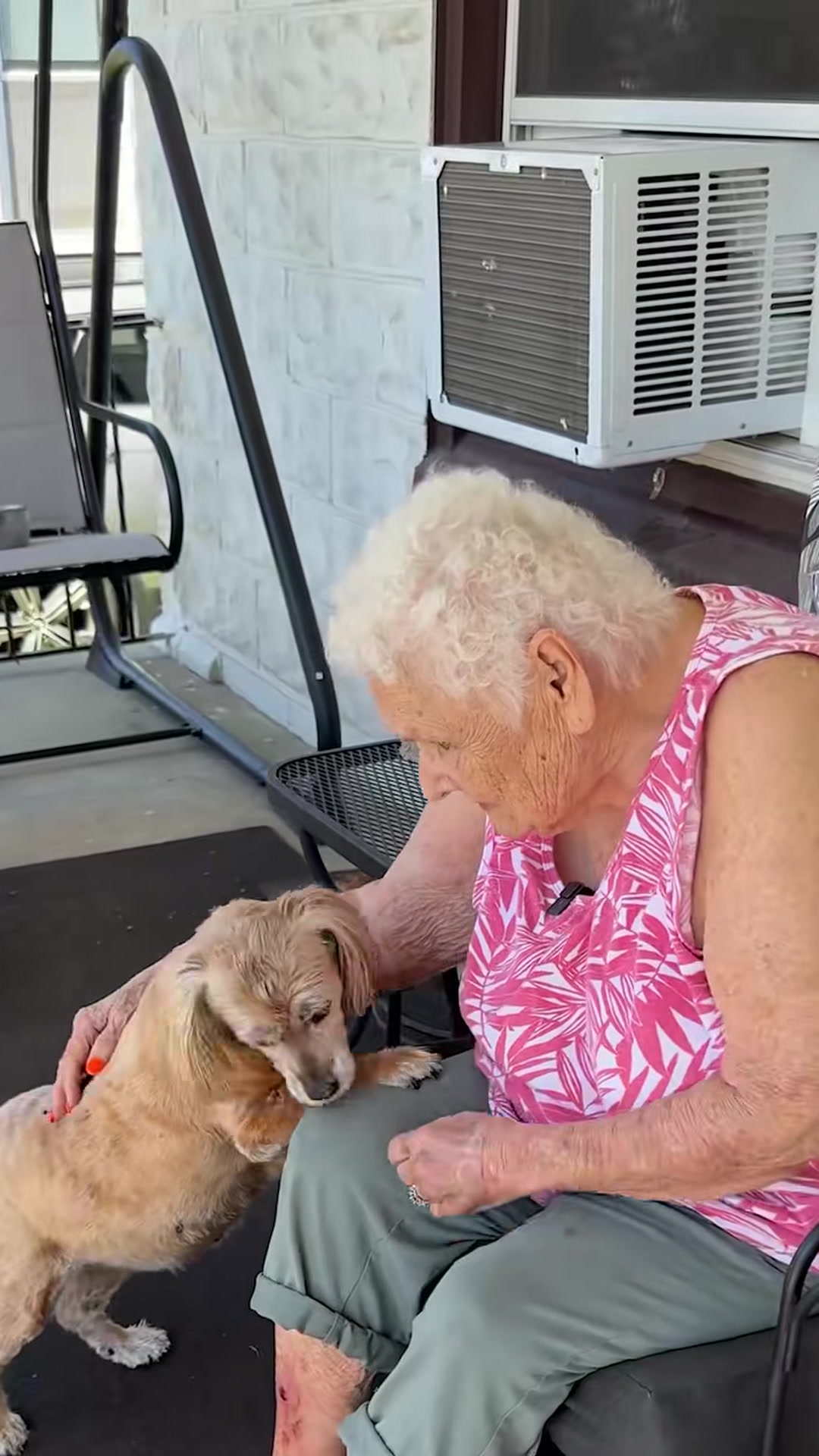 A golden retriever delivers something special for sweet Lonna and her ...