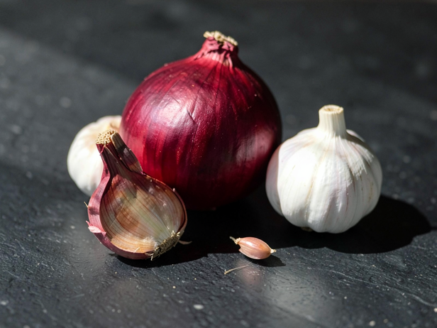 Onion and garlic in curries: why even a small amount is dangerous for dogs