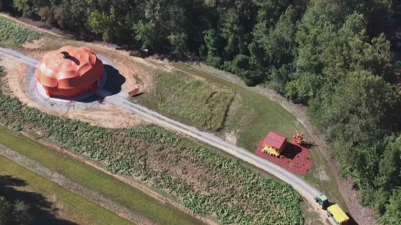 Step inside Georgia’s giant pumpkin attraction at Burt’s Pumpkin Farm