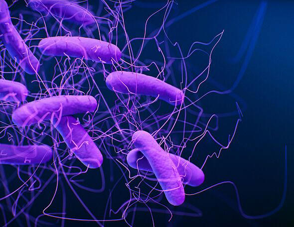 UK hospital ward forced to shut down over outbreak of bacterium causing ...