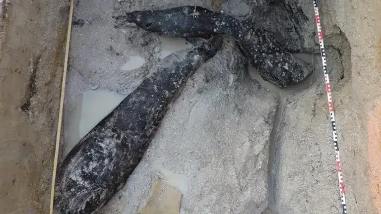 Archaeologists unearthed a 476,000-year-old wooden structure. No one ...