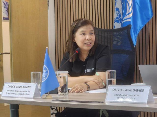 Is PH farmland healthy amid El Niño? FAO calls for soil assessment