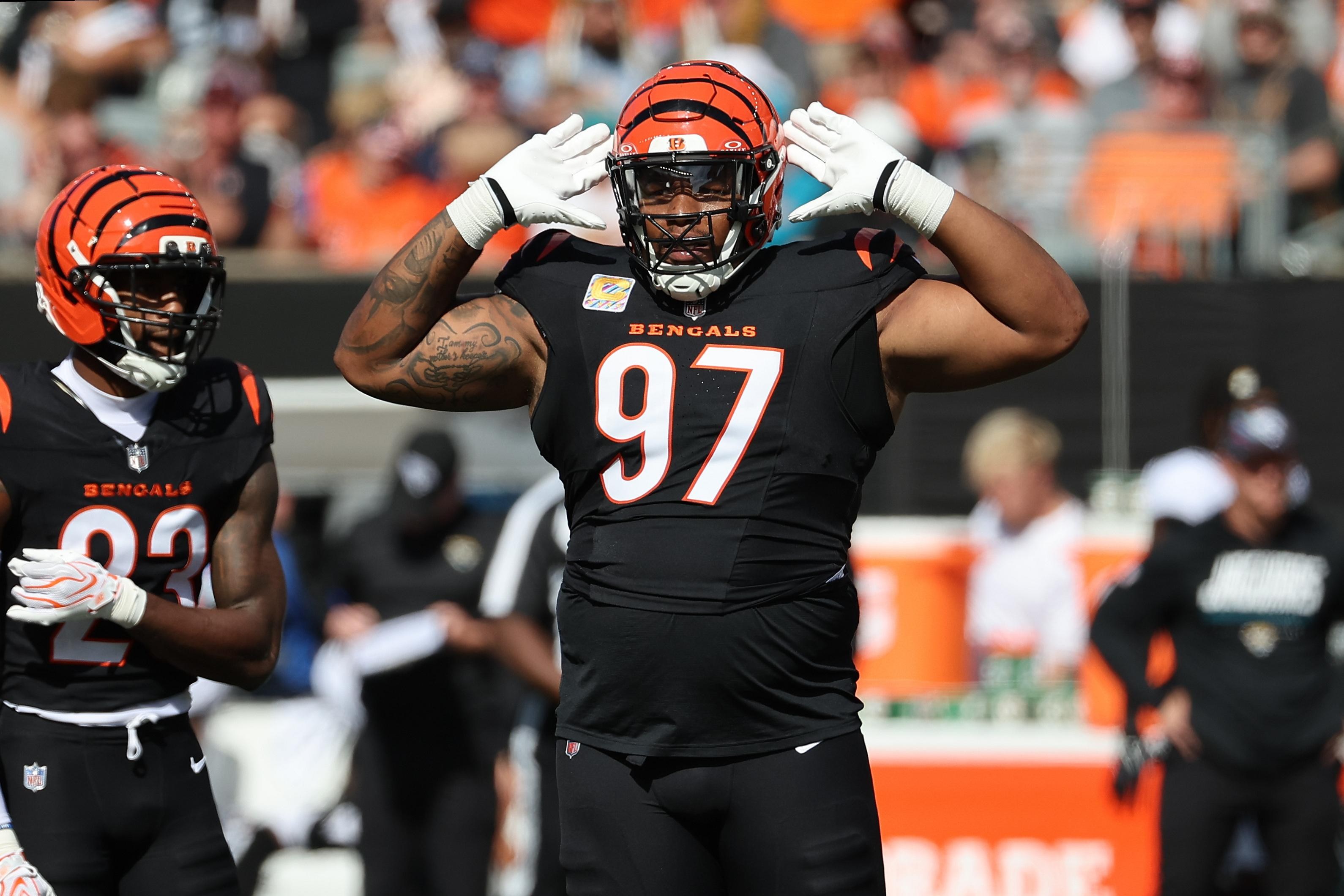 Bengals progress report: Grading the defense