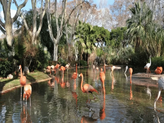 Travel tips: These beautiful locations in the country are the best for ...