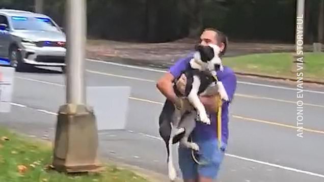 Tired out rescue dog gets carried to the finish line