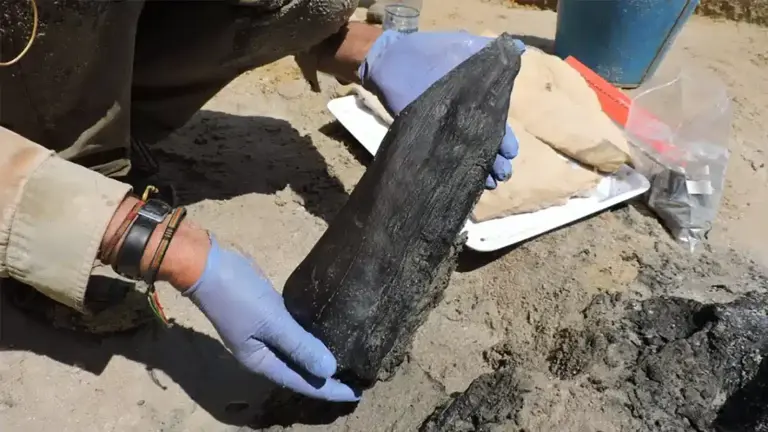 Archaeologists unearthed a 476,000-year-old wooden structure. No one ...