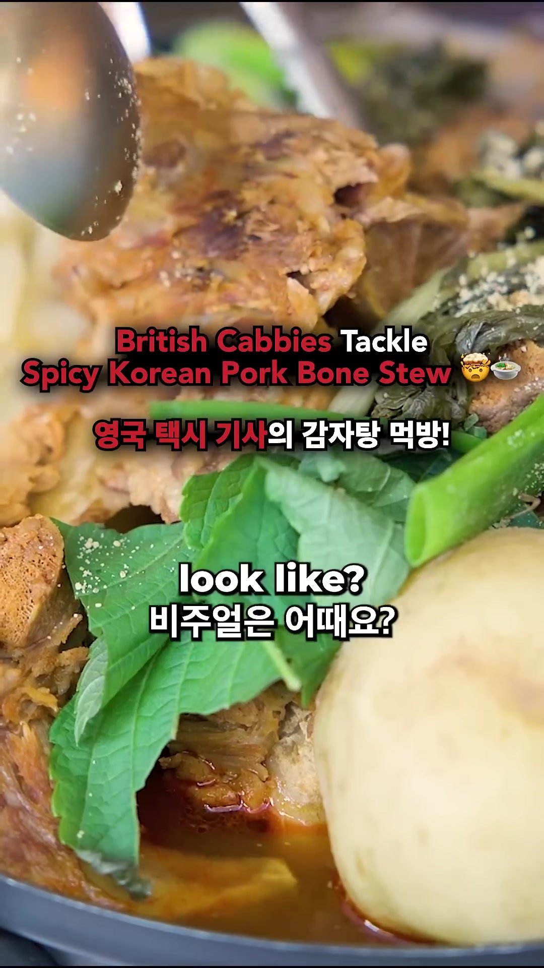 British cabbies tackle spicy Korean pork bone stew 🤯🍲