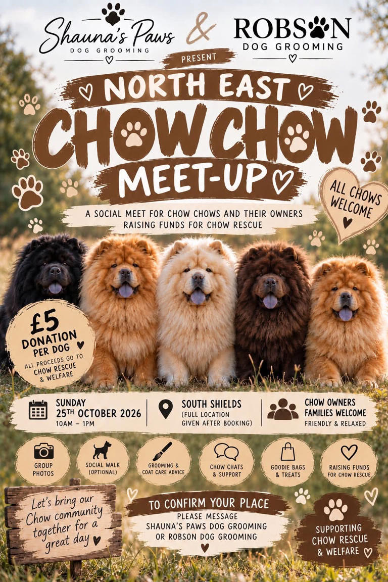 Chow Chow owners in South Tyneside invited to charity social walk