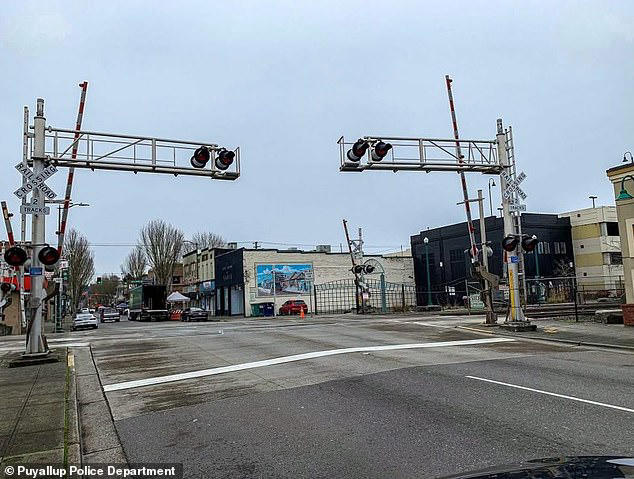 Wheelchair user suffered horror death after getting stuck on railroad ...