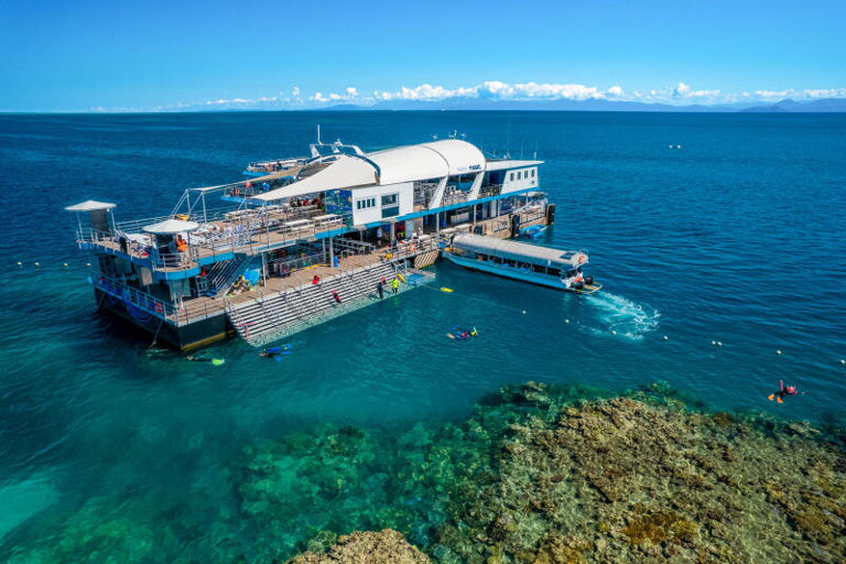 Help rebuild the Great Barrier Reef on a Reef Magic day trip