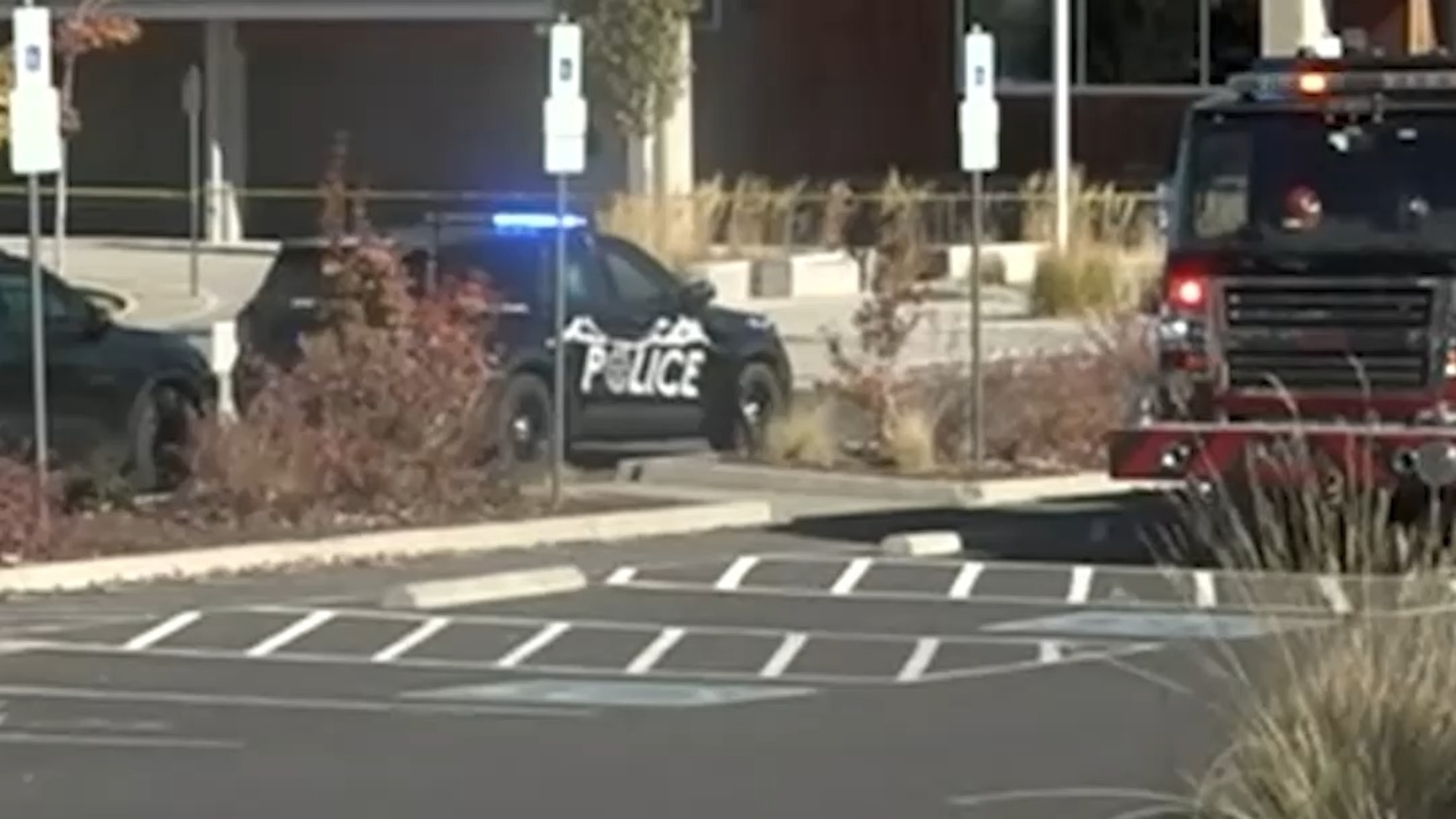 Oregon school shooting survivor describes her actions
