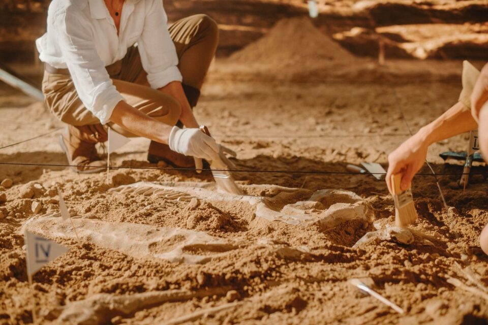 Archaeologists studied nearly 600 wood imprints in a Spanish rock ...