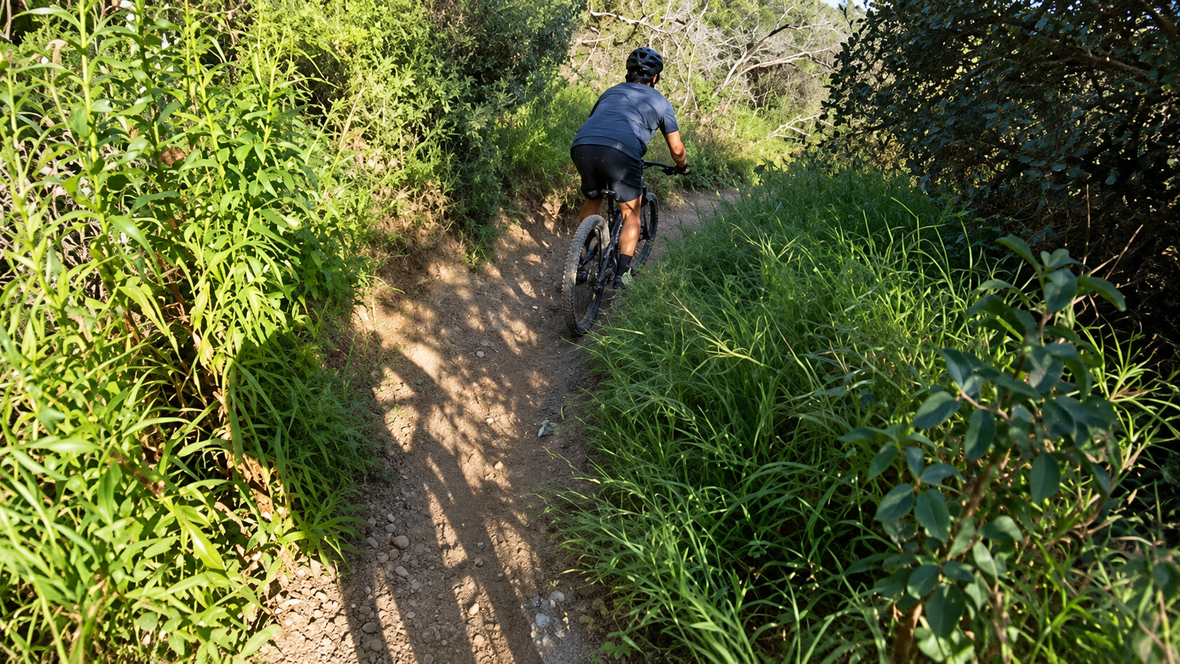 Riding electric bikes through a California canyon turns into a ...