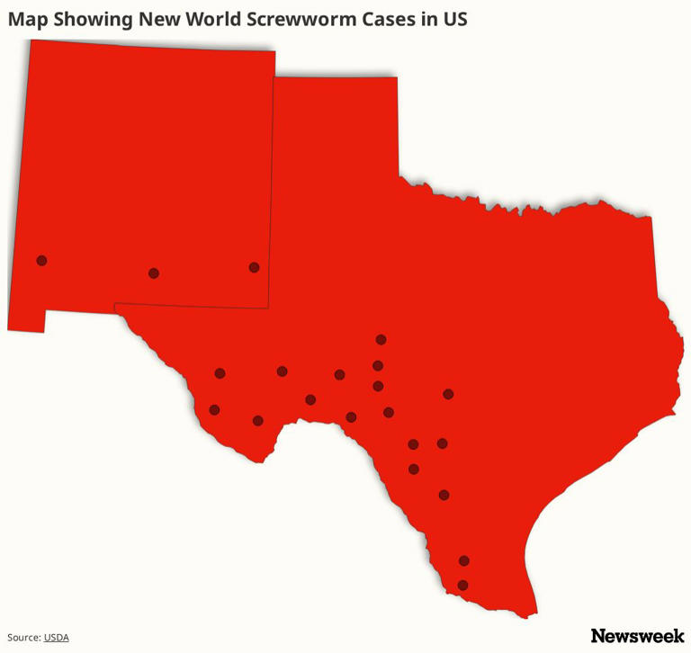 New World screwworm map shows US cases as parasite found in Texas elk