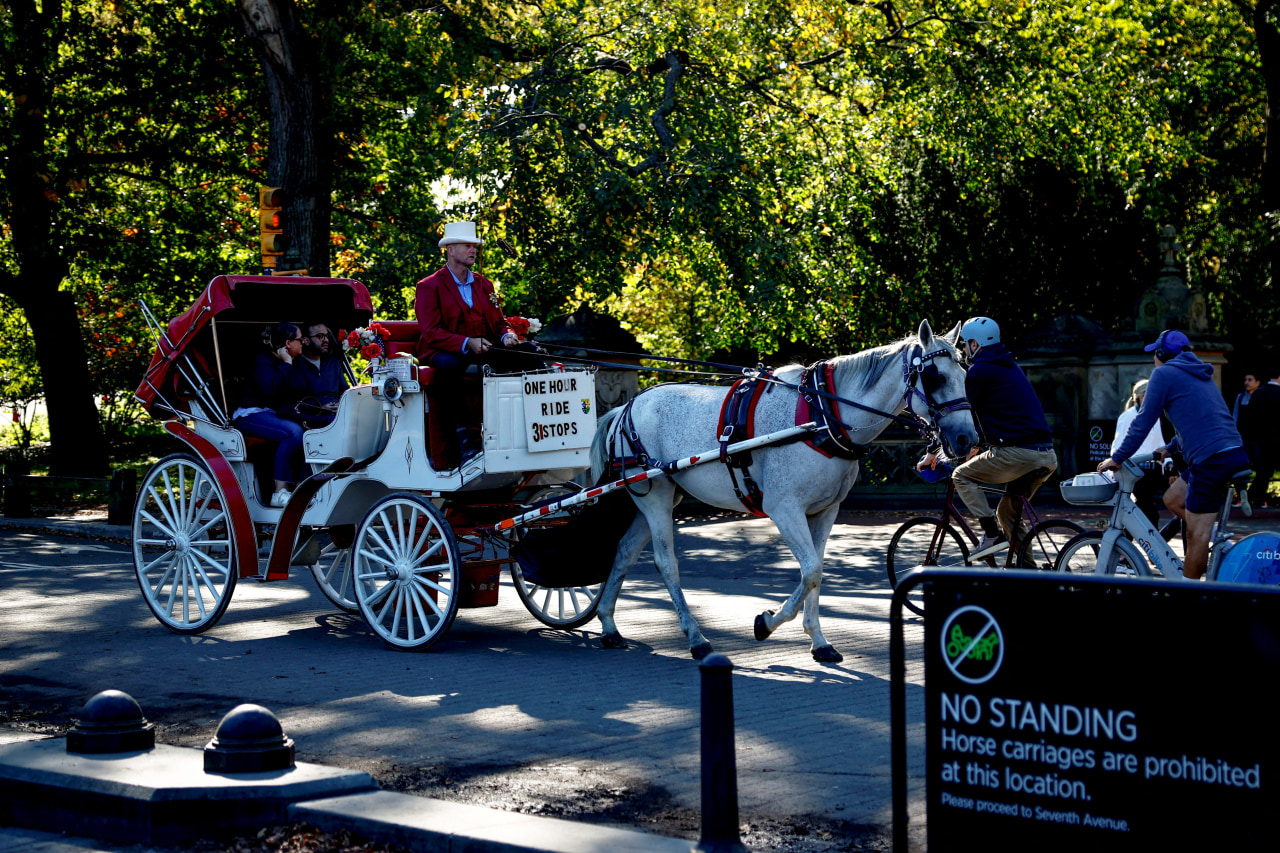 NYC votes to ban carriage horses