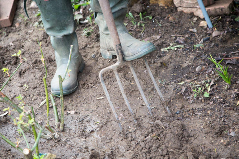 Alan Titchmarsh's October warning for wet soil that can stop flowerbeds ...