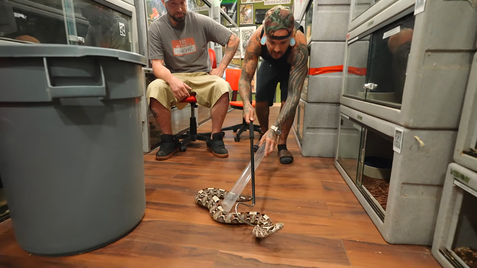 Tyler Nolan called in help after noticing swelling around a viper’s mouth