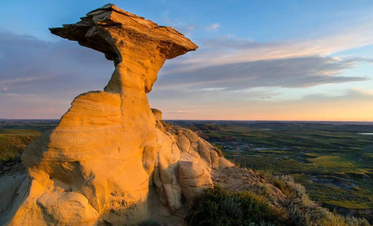 Discovered in Montana in 2011, This Toothless Dinosaur Has Finally ...