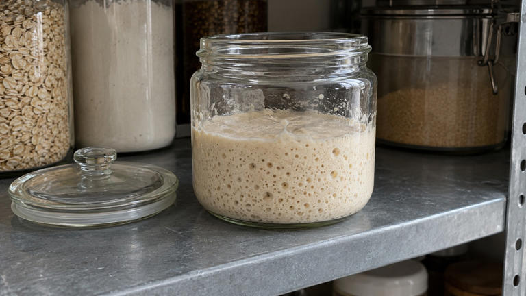 What gives sourdough its tangy flavour and chewy texture?