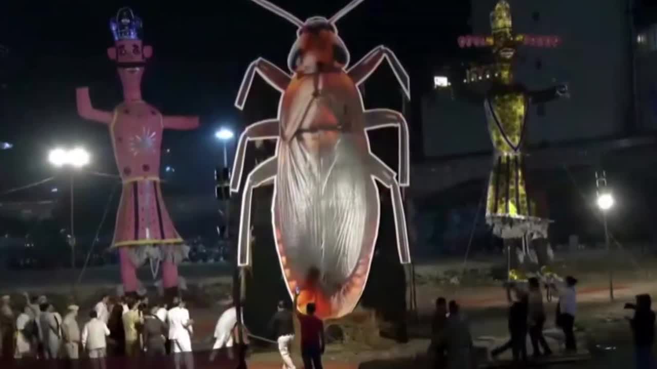 Cockroach effigy set ablaze alongside demon king Ravana during Hindu ...