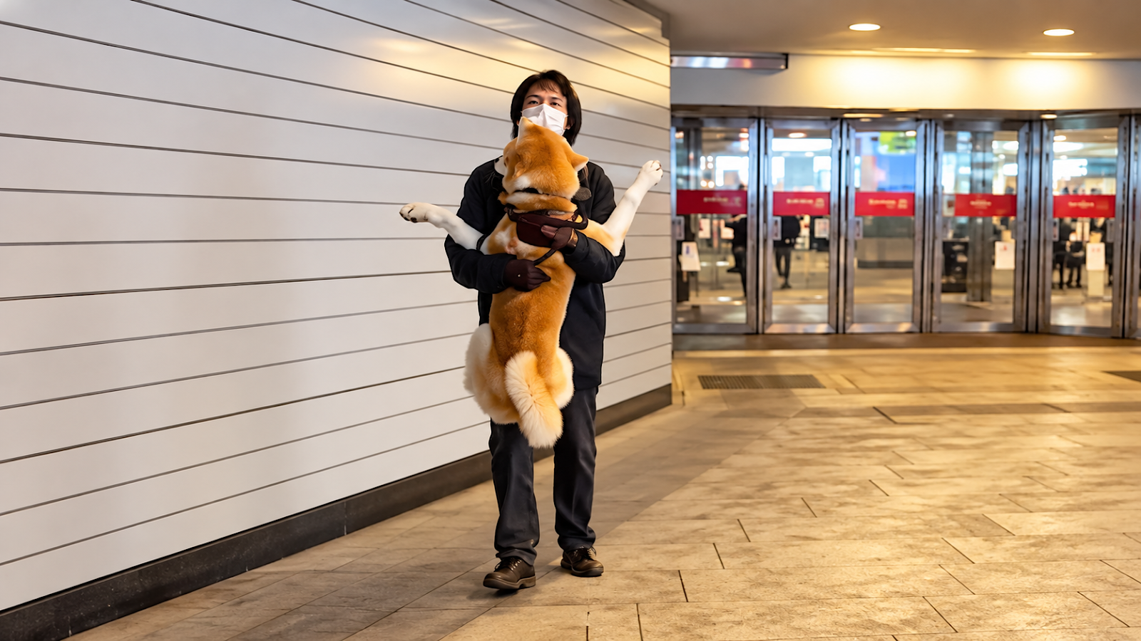 Man carries his dog through public and holds him like he means everything