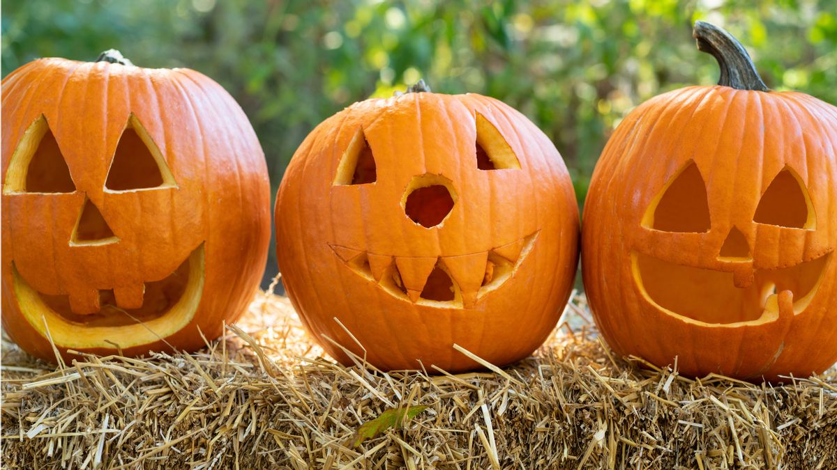 Why do we carve pumpkins for Halloween? Tracing the history