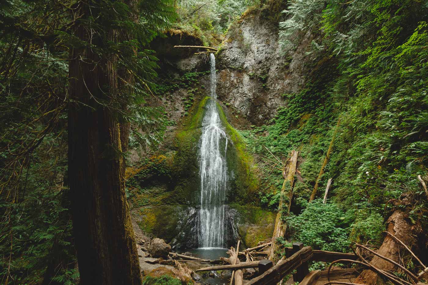 Marymere Falls is a 1.8-mile walk to a 90-foot waterfall, and a gray ...