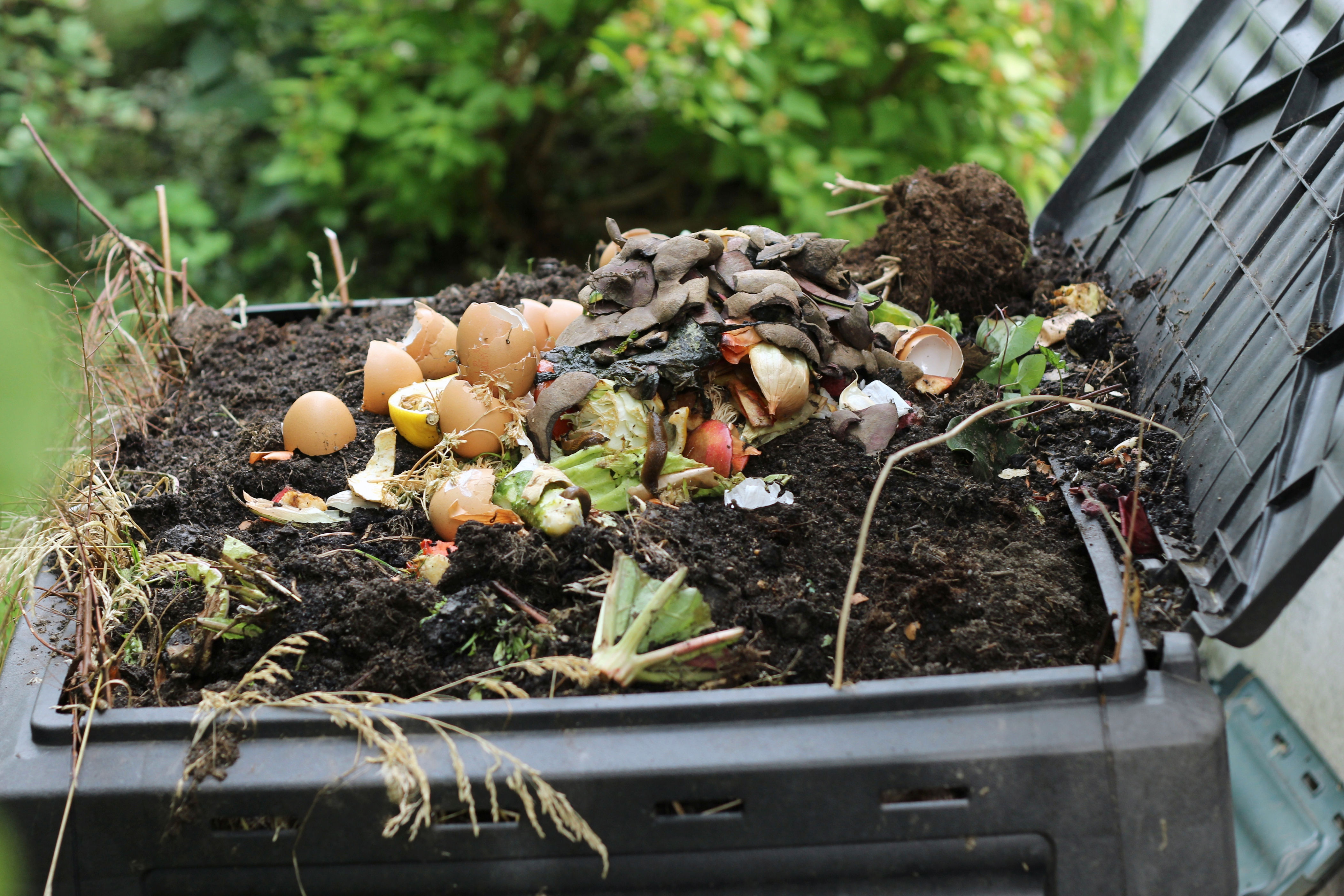 Activateur de compost : boostez le processus de décomposition