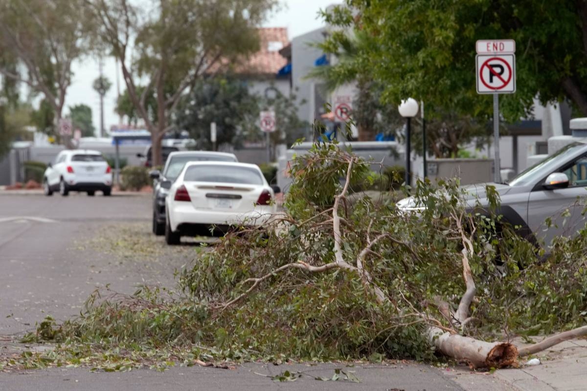 Violent Arizona storms bring possible tornado