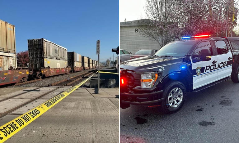 Wheelchair user suffered horror death after getting stuck on railroad ...