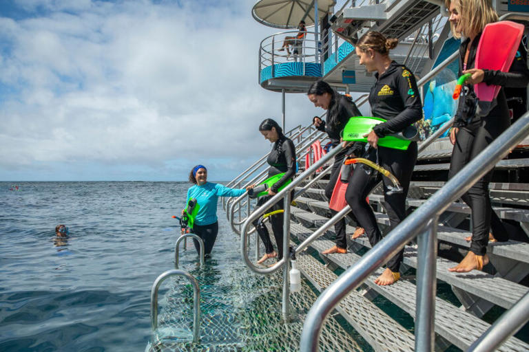 Help rebuild the Great Barrier Reef on a Reef Magic day trip