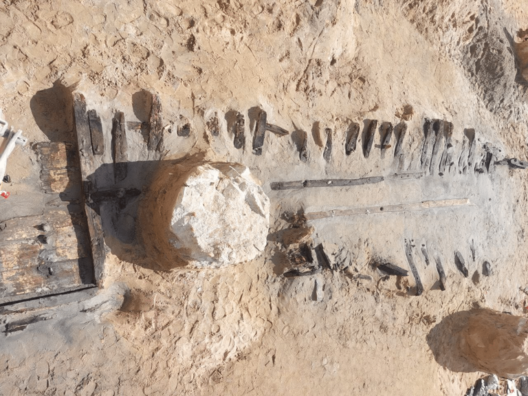 Construction workers unearth a 500-year-old ship buried beneath ...