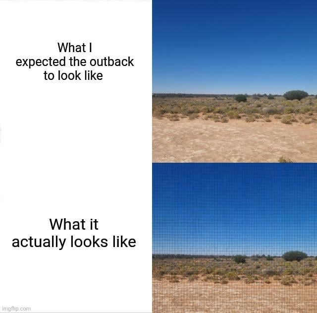 33 Aussie wildlife memes (mostly) for those Australians out there just ...