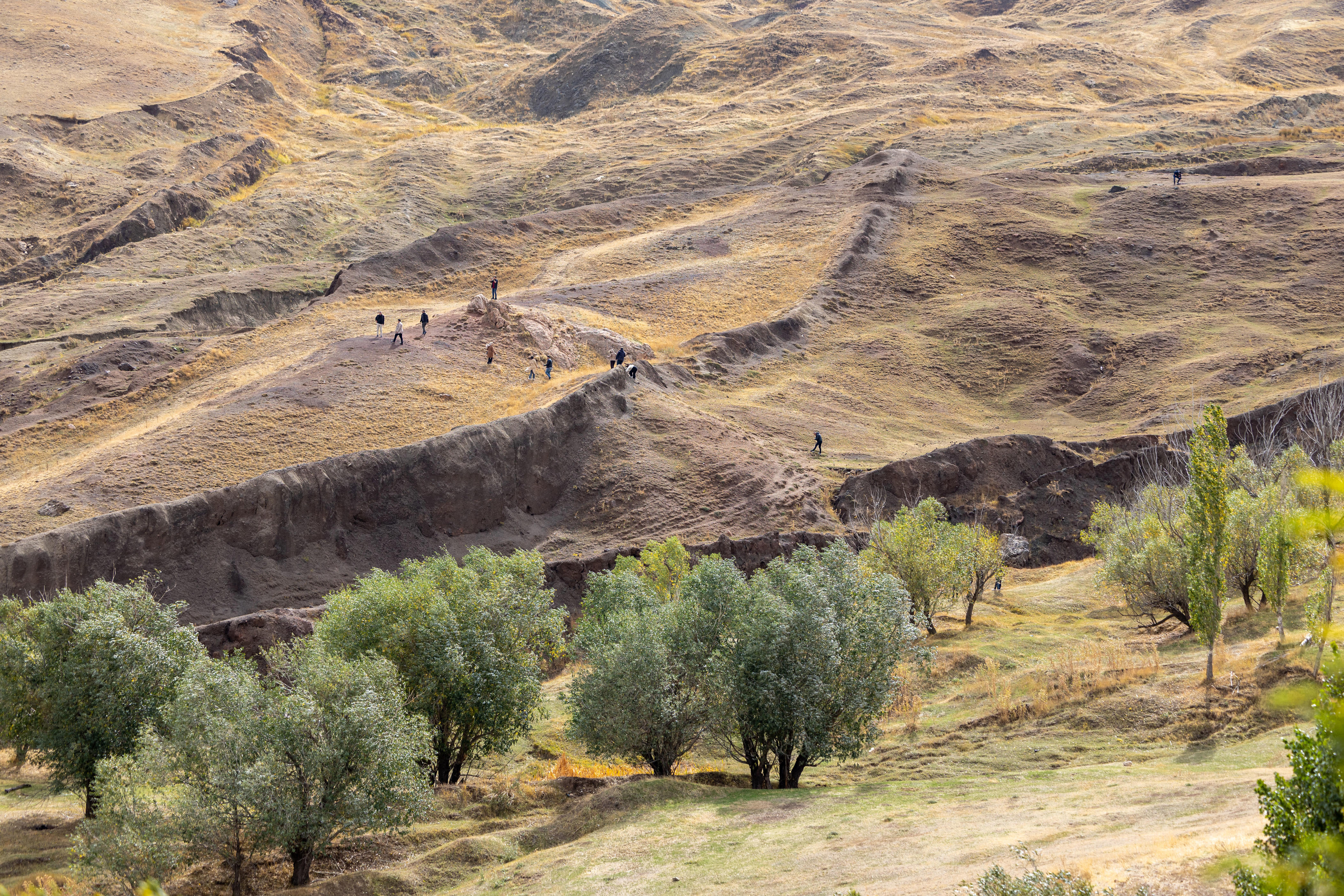 We're all in the same boat, Noah's Ark researcher tells Post at Turkey ...