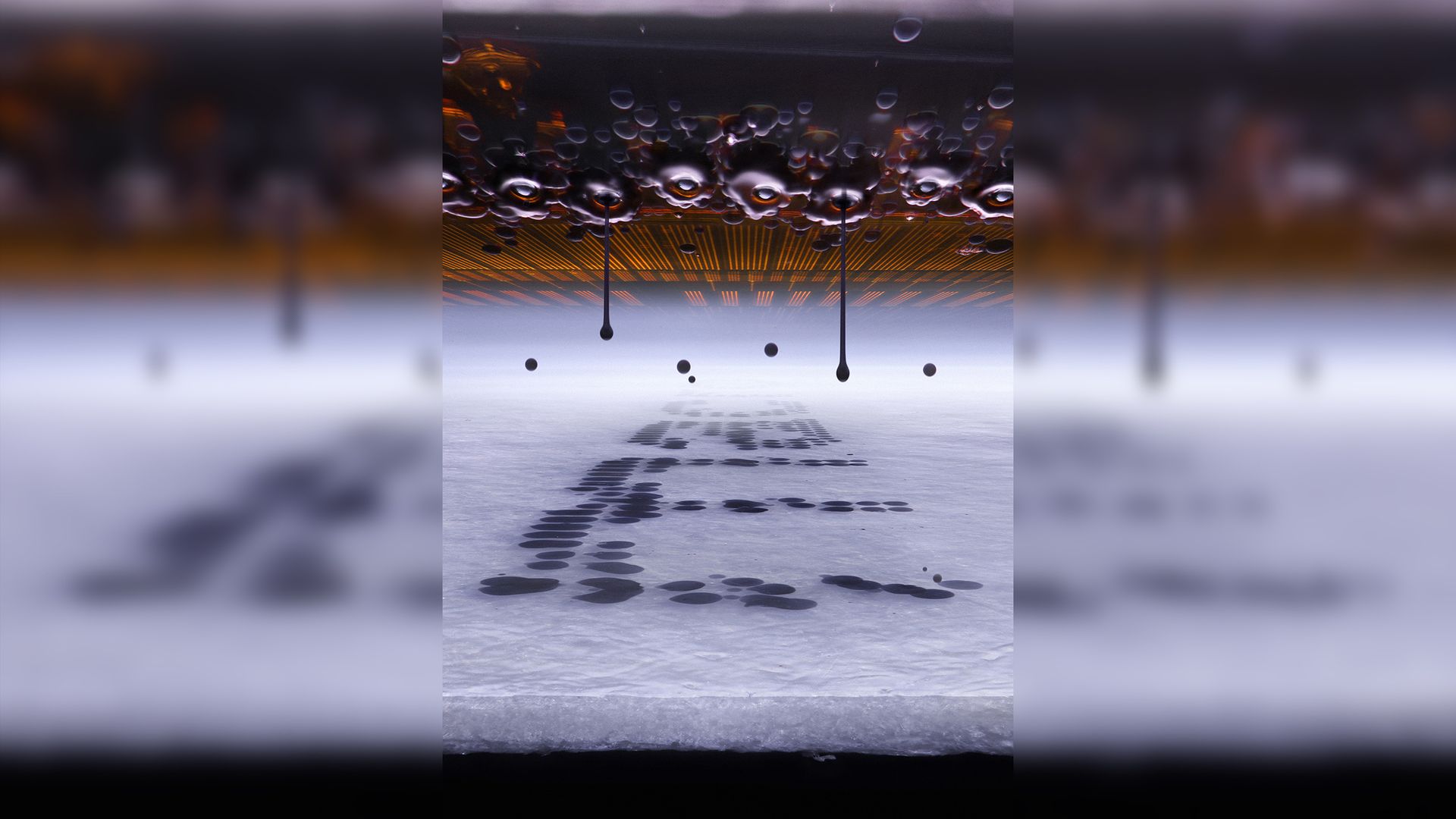 This award-winning image reveals a never-before-seen view of an inkjet ...
