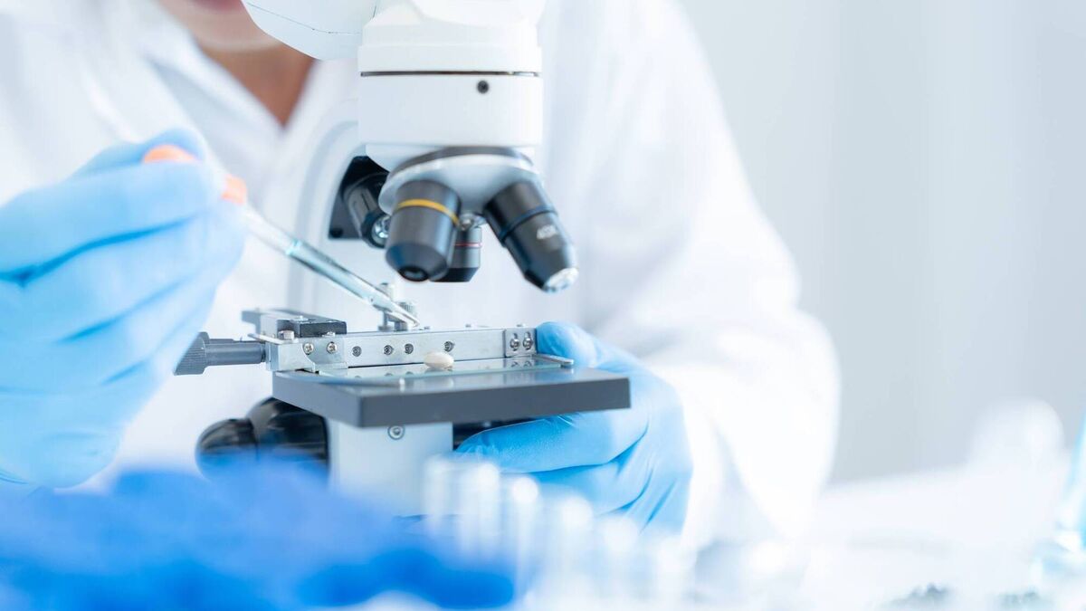 What is Shamonda virus? First human infection reported as virus spreads ...