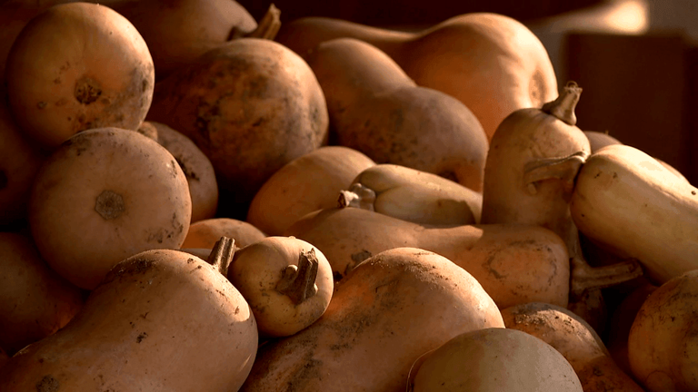 New USDA grant rules raise concerns for farmers over energy-saving projects