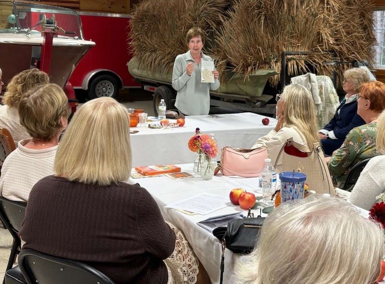 Manistee artist shares cake decorating, dahlia expertise with PEO
