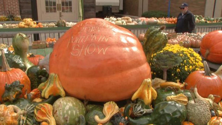 Columbus-area weekend events for Oct. 22-25, 2026: Pumpkin show, MMA ...
