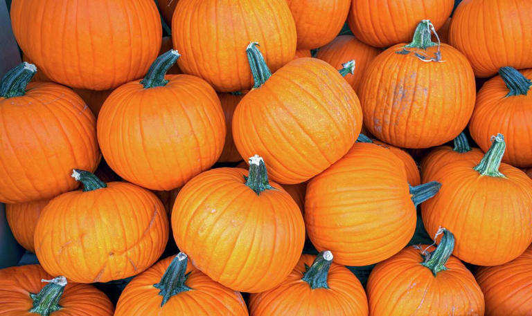 Illinois tops all U.S. states in pumpkin production (gchapel/Getty Images)