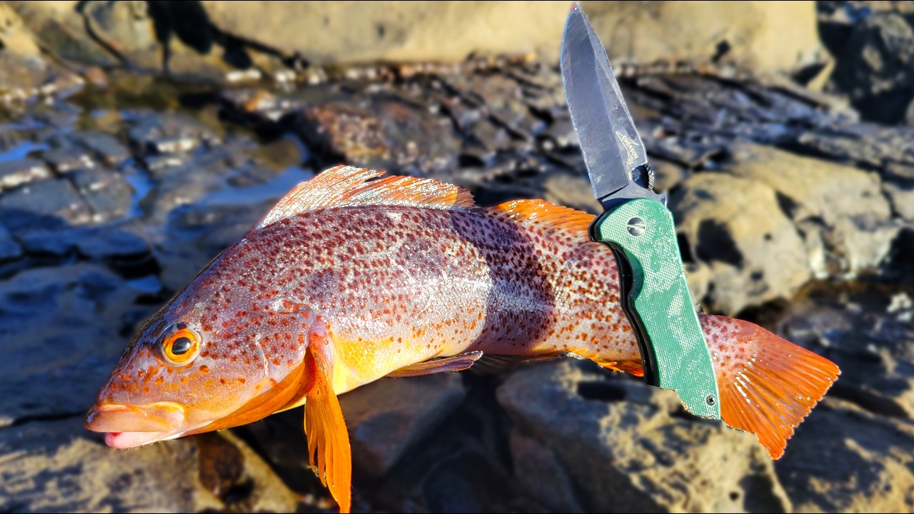 Back to the ocean - catch and cook on the rocks!